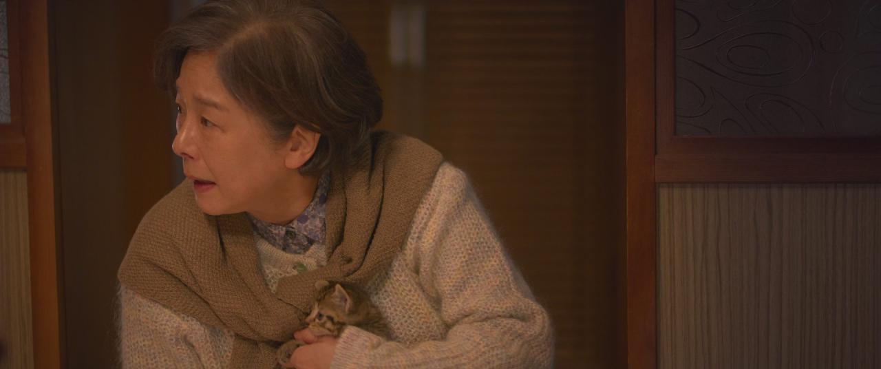 [猫与爷爷][BD-MKV/2.75GB][简繁字幕][1080P][HDR版本][H265编码][蓝光压制]