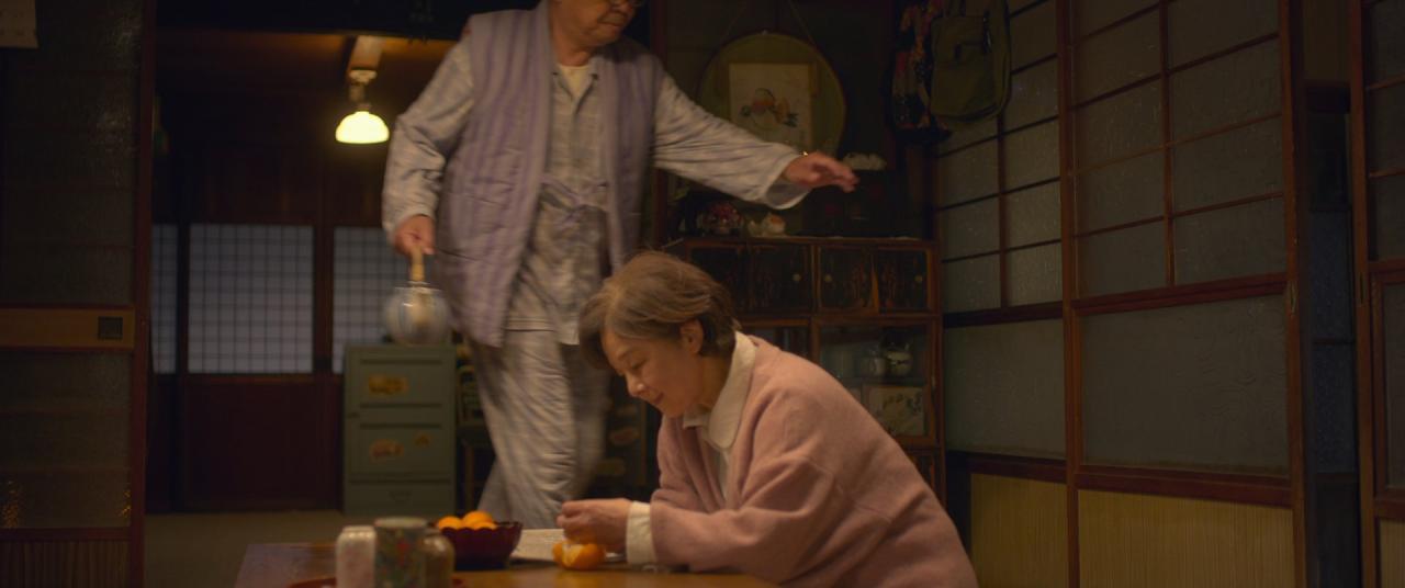 [猫与爷爷][BD-MKV/2.75GB][简繁字幕][1080P][HDR版本][H265编码][蓝光压制]