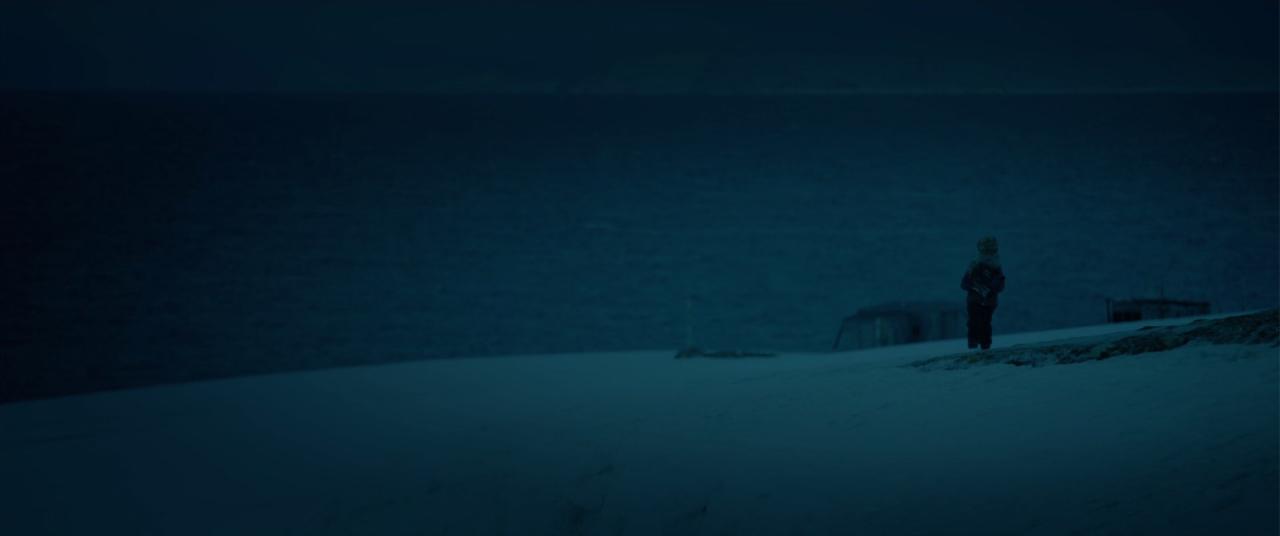 [北冰洋行动][BD-MKV/5.90GB][国语音轨/简繁字幕][1080P][HDR版本][H265编码][蓝光压制]