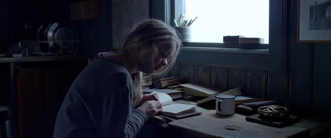 [北冰洋行动][BD-MKV/5.90GB][国语音轨/简繁字幕][1080P][HDR版本][H265编码][蓝光压制]