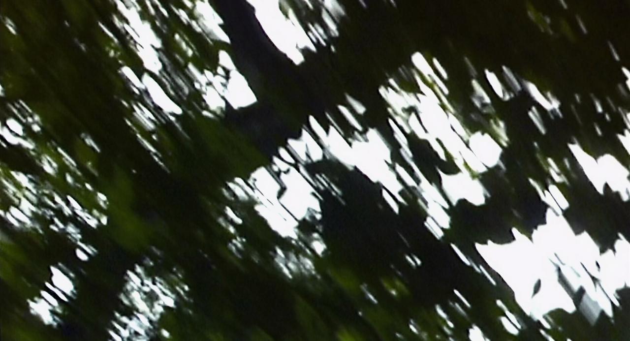 [惊变28天][BD-MKV/3.69GB][中英字幕][1080P][HDR版本][H265编码][蓝光压制]