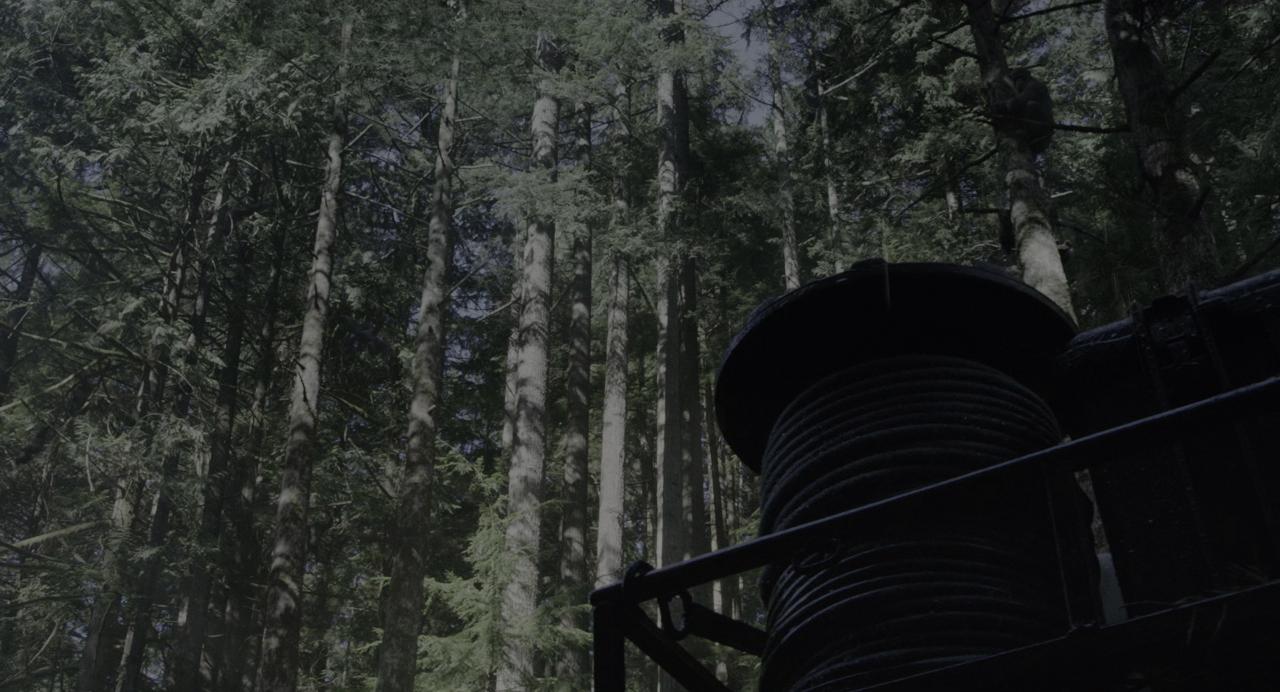 [猩球崛起2：黎明之战][BD-MKV/31.28GB][国英多音轨/简繁英双语特效字幕][4K-2160P][HDR版本][H265编码][蓝光压制]