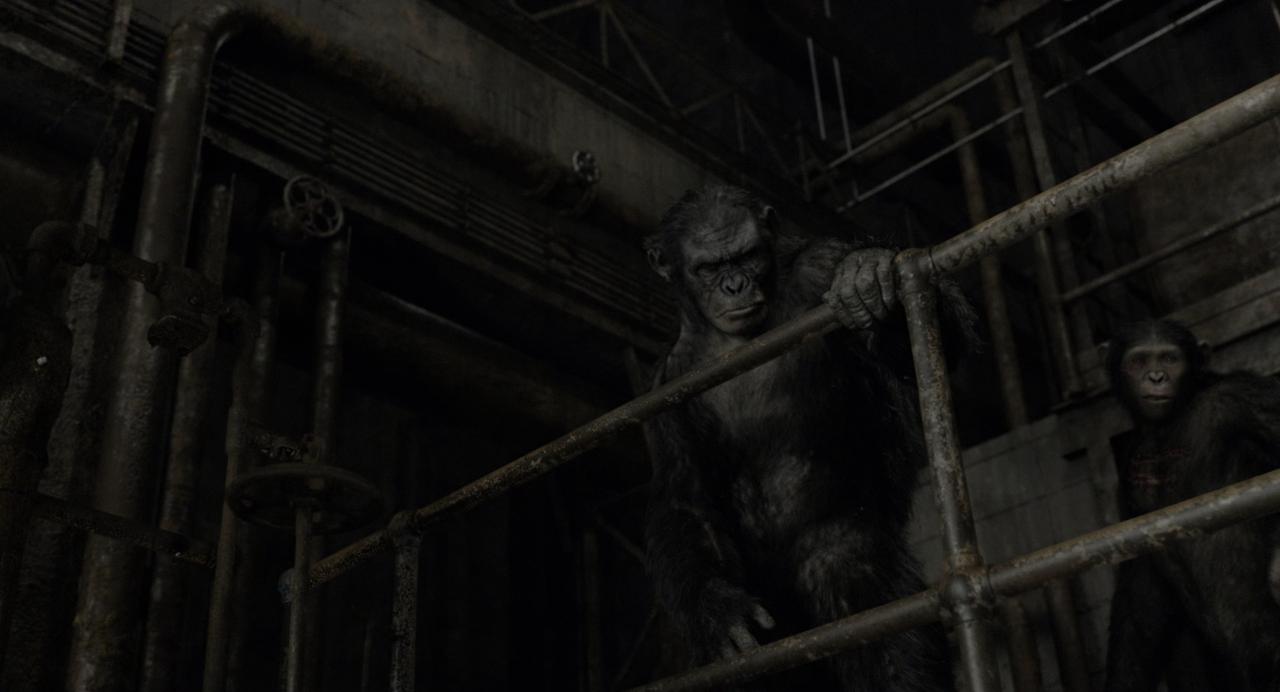 [猩球崛起2：黎明之战][BD-MKV/31.28GB][国英多音轨/简繁英双语特效字幕][4K-2160P][HDR版本][H265编码][蓝光压制]