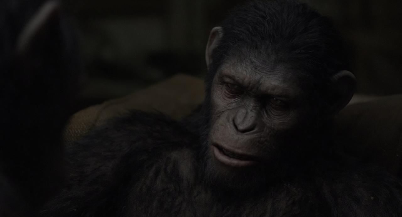 [猩球崛起2：黎明之战][BD-MKV/31.28GB][国英多音轨/简繁英双语特效字幕][4K-2160P][HDR版本][H265编码][蓝光压制]