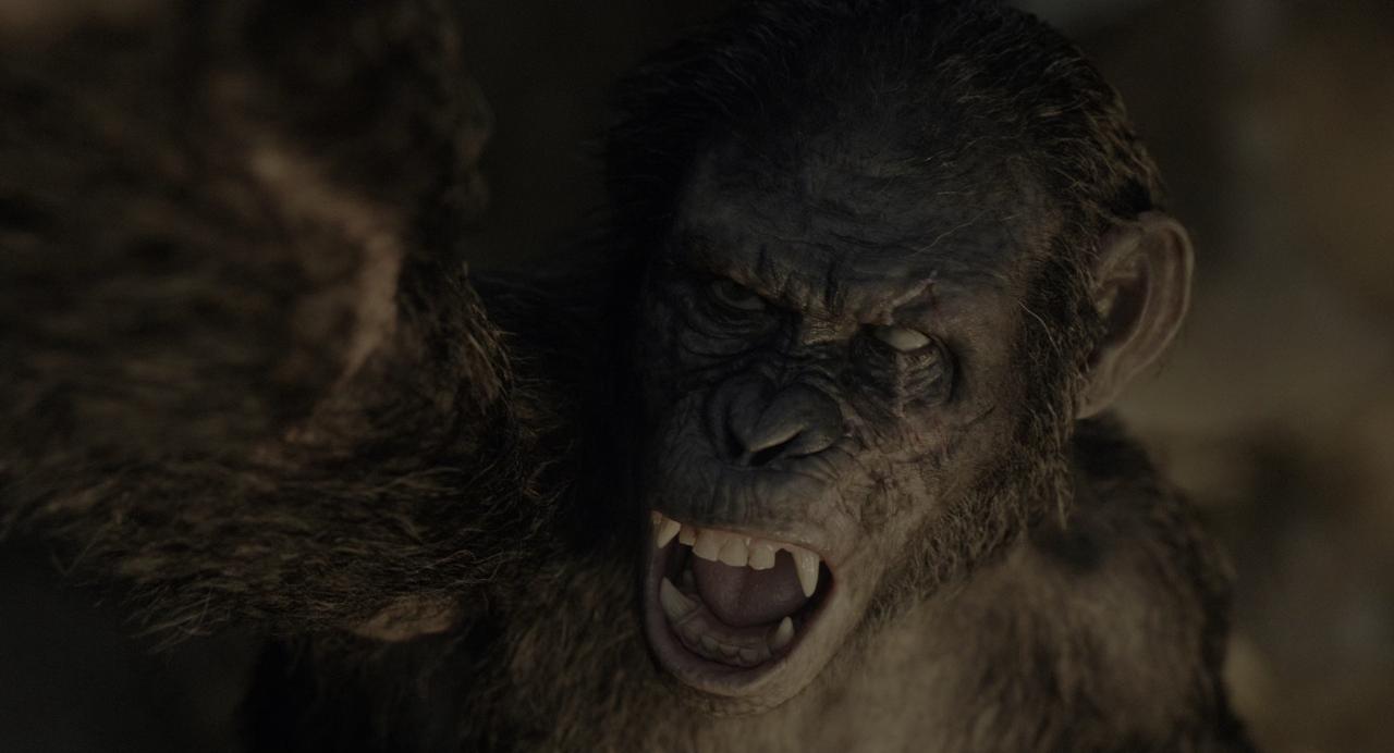 [猩球崛起2：黎明之战][BD-MKV/31.28GB][国英多音轨/简繁英双语特效字幕][4K-2160P][HDR版本][H265编码][蓝光压制]